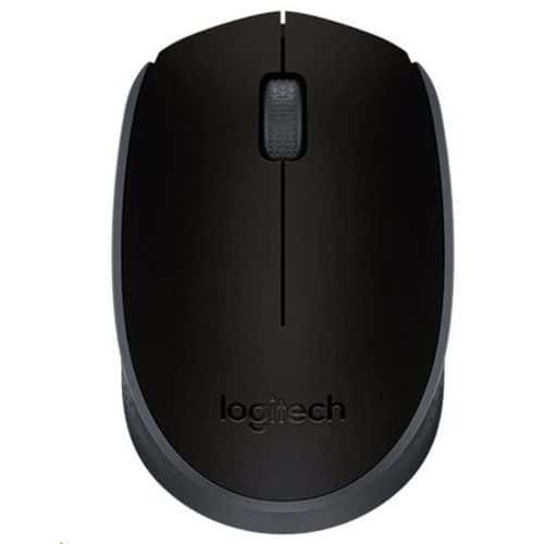 Optická bezdrátová myš Logitech Wireless Mouse M171, černá