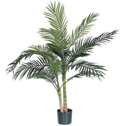 Palma Areca Golden Cane 120 cm – Vepabins