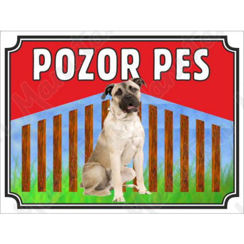 Výstražné tabulky - Pozor pes - Cane